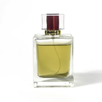 Flacon de parfum rectangulaire élégant personnalisé par le fabricant, transparent, pour emballage d'épices, flacon de parfum vide 100 ml