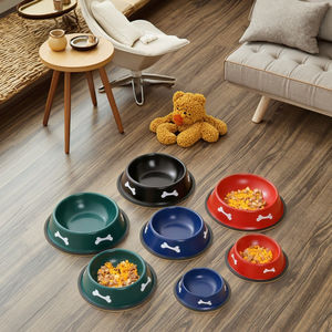 Cuenco de hierro de viaje <span class=keywords><strong>para</strong></span> mascotas con llave dorada, bonito patrón de hueso, antideslizante, varios colores y tamaños <span class=keywords><strong>para</strong></span> perros, gatos, pollos, comida y agua - Product Image 1