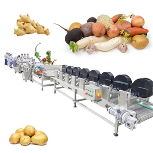 <span class=keywords><strong>เครื่อง</strong></span>ล้างผักแครอท304สแตนเลสเครื่องล้างผักราก - Product Image 1