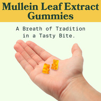 Gummies de molène saveur poire OEM ODM – Complément alimentaire à base de plantes, 60 unités, soutien respiratoire