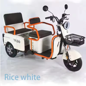 2025 nuovo Ebike 3 ruote <span class=keywords><strong>bici</strong></span> <span class=keywords><strong>elettrica</strong></span> <span class=keywords><strong>Cargo</strong></span> consegna <span class=keywords><strong>elettrica</strong></span> triciclo con cestello - Product Image 4