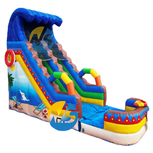 Château gonflable aquatique commercial Penguin Under the Sea avec toboggan, piscine à jets d'eau et souffleur - Product Image 1