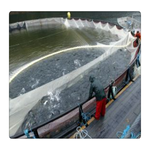 Nuôi Trồng Thủy Sản Feeder Nuôi Cá Lồng Nuôi Trồng Thủy Sản Nổi Cá Rô Phi Nuôi Cá Lồng - Product Image 3