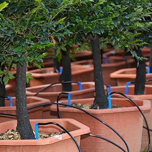 High Quality Small Drip <b>Sprinkler</b> USB Power Supply Automatic Control for Simultaneous Multi-Disk Plant <b>Irrigation</b> Made Plastic - Product Image 3