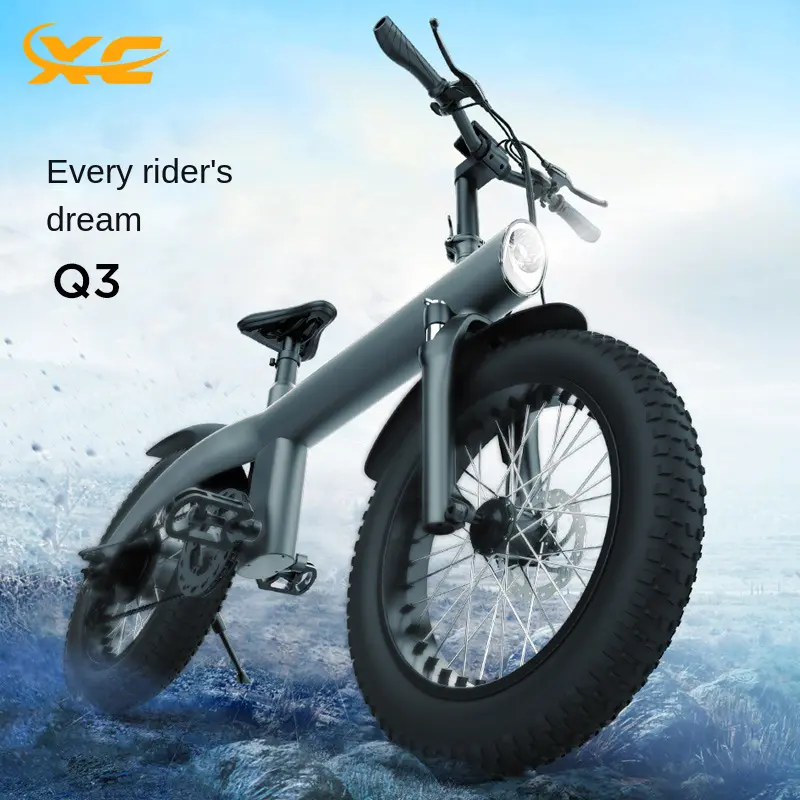 Xc không thấm nước giá rẻ Xe đạp điện Q3 Ebike Xe đạp điện 20 inch nhanh 7 tốc độ xe đạp điện động cơ kép