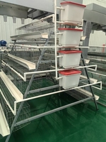 Nouvelle cage automatique pour poules pondeuses, système de cages en batterie de type A pour l'équipement d'élevage avicole commercial, élevage intensif
