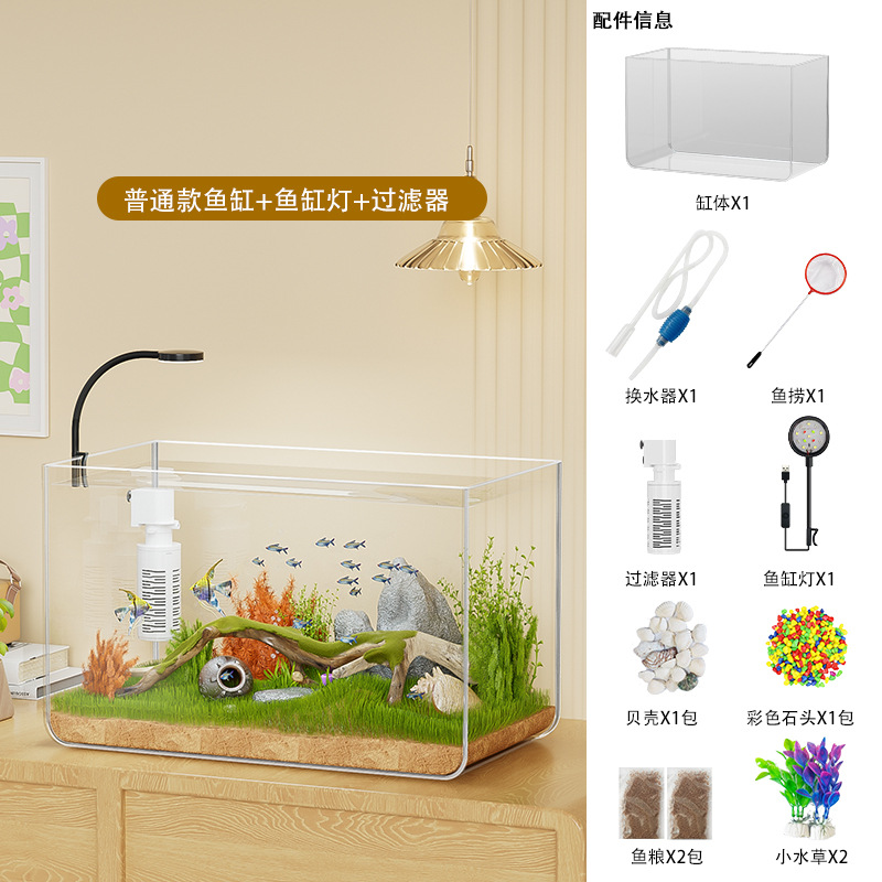 Filtro trasparente, piante acquatiche, pietre colorate, conchiglie