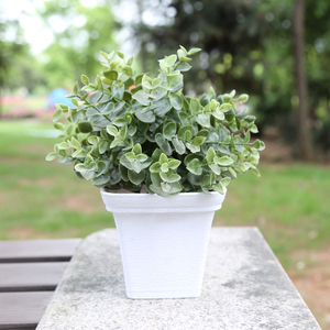 Yicai Plant Pot Flowerpot Plastic Green Decor Plant Flower Pot Home Office Planter Maceta