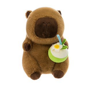 Vente <span class=keywords><strong>en</strong></span> gros de poupées <span class=keywords><strong>en</strong></span> peluche Capibara de dessin animé PP coton rempli mignon Football Skateboard Capybara jouets <span class=keywords><strong>en</strong></span> peluche cadeau pour enfants - Product Image 3