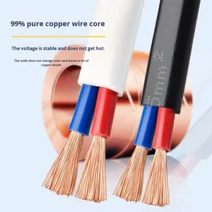Puur Koperen Platte Omhulde Draad Rvvb <span class=keywords><strong>2</strong></span> Kern 0.<span class=keywords><strong>3</strong></span>-1.5 Vierkante Huishoudelijke Power Zachte Kabel Met Pvc-Isolatie - Product Image 1