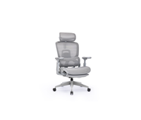 Chaise de bureau exécutive ergonomique haut de gamme en maille avec support lombaire, base chromée et fonctions réglables pour le bureau à domicile