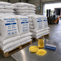 Chlorure de polyaluminium (PAC) 28 % Al2O3, floculant pour l'eau potable et le traitement des eaux usées industrielles