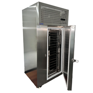 Congelador Rápido de Venta Caliente 2025 -40 Grados, 15 Placas, Ultracongelador de Congelación Rápida para Almacenamiento de Pescado HSD-40L15C 2024 - Product Image 6