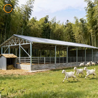 Estructura de Acero Ligero de Diseño Moderno, Cobertizo Prefabricado para Ovejas y Cabras, Cobertizo para Granja, Fácil Instalación, Personalizable