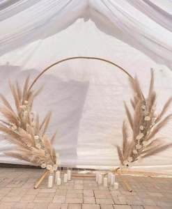 Pampas Grandes Secas y Esponjosas de Color Blanco al por Mayor, Flores de Pampas Secas, Hierba de Pampas Grande para Decoración de Bodas - Product Image 5