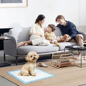 (45*60,60pcs) Disposable Pet Pee <b>Pad</b> Urine Training Diapers Cotton Leak Proof <b>Puppy</b> Training for Dogs - Product Image 2