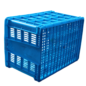 Contenitori in Plastica Impilabili Extra Spessi e Resistenti Huidu NEXARA HDEP XS700 per Logistica di Trasporto Frutta e Verdura - Product Image 3