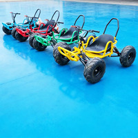 Kart todoterreno a gasolina de 2 tiempos para carreras, con transmisión por cadena, accesorios para uso en exteriores