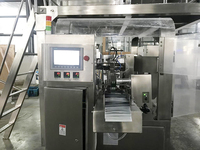 Fabriek Multifunctionele Automatische Volauto 5Ml 10Ml 200Ml Vloeibare Zakjes Verpakkingsmachine Productielijn