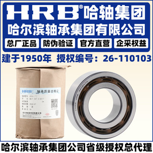 Rodamientos de bolas de contacto angular Hrb 3206atn de doble hilera fabricados en China para plantas de fabricación - Product Image 1