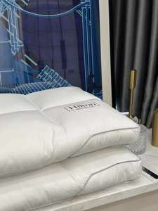Sonbahar ve kış yeni otel yastık şekli düşük yastık Mitchell Hilton beş yıldızlı otel yastık - Product Image 3