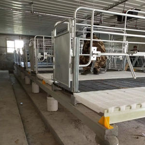 Jaulas para Cerdas de Hierro Fundido con Patas Altas de Acero, 1800 2400 - Product Image 1