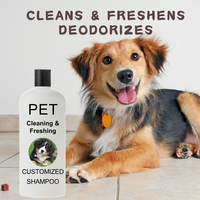 Usine OEM ODM – Shampoing pour chiens et chats au parfum frais, formule douce à base de plantes, pour l'entraînement, le toilettage, le nettoyage et le bain des animaux, toutes saisons