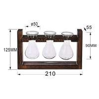 Plante en verre HOT, terrarium avec support en bois pour plantes hydroponiques, vase en verre rond de forme bulbe pour table, pots à fleurs