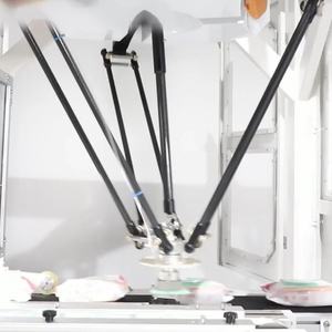 Excelente Robot Delta Manipulador <span class=keywords><strong>Industrial</strong></span> para Aplicación de Tapas de Toallitas Húmedas - Product Image 5