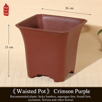 Pot de fleurs en résine pour jardin, style chinois minimaliste, avec plusieurs trous de drainage, pour orchidée de la baie rouge à feuilles fines
