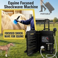 Appareil de thérapie par ondes de choc focalisées pour chevaux, soulagement profond de la douleur, qualité vétérinaire, ondes de choc ciblées, certifié CE RoHS