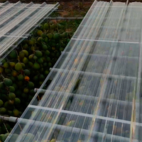 100% polycarbonate vierge + feuille ondulée en plastique + panneau de toiture transparent + serre + matériau de construction + lucarne + auvent