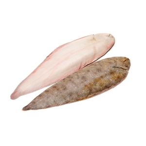 Sole de langue sauvage congelée de haute qualité poisson plat rond entier fruits de mer exportation portions prêtes pour l'approvisionnement en gros - Product Image 5