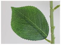 Pabrik Penyuplai Grosir Bunga Hydrangea Buatan Batang Tunggal Kepala Bunga Besar dari Sutra untuk Dekorasi Pernikahan & Vas Dalam Ruangan