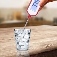 Termometer Dapur Rumah Tangga Digital Bacaan Instan untuk BBQ, Permen, Kantor, Oven, Plastik