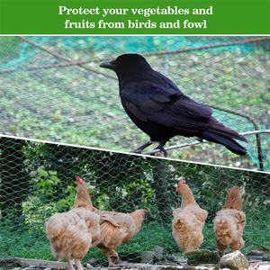 Rete Antiuccelli Verde per Giardino, Rete per Alberi da Frutto, Protezione per Frutteti - Product Image 5