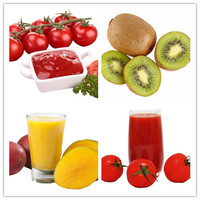 Abrikozen Cactus Zuurzak Tomaat Proces Cashew Extractor Wortelsap Pulper Aardbei Cherry Mango Tomaat Fruit Pulp Machine