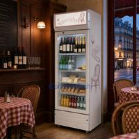Congélateur vertical commercial à température unique, à dégivrage automatique, pour hôtels et restaurants, avec éclairage LED, refroidissement par air et porte vitrée