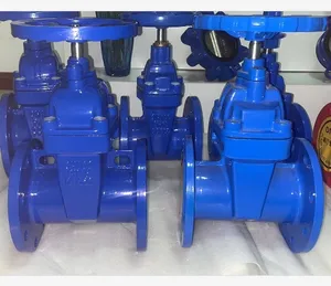 China Manufacturer High Quality SS410 Shaft PN/10/PN16/PN25 QT450 BODY Brass Nut BS5163 Rubber Seal Gate Valve