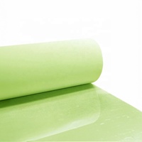 Película de Vinilo de Seguridad Verde Autoadhesiva que Brilla en la Oscuridad, Cinta de Transferencia de Calor Fotoluminiscente, Rollo Luminoso de PVC