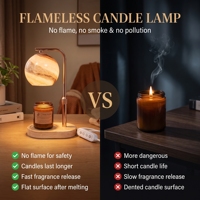 Lampe chauffe-cire en verre naturel avec bras métallique courbé réglable en hauteur, couleur or rose, pour un cadeau de luxe Wabi Sabi Mid Century