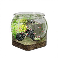 Meilleures ventes : Conteneur de rangement transparent en PET avec base, incassable, organisateur domestique