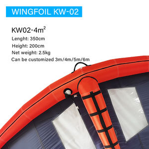 Cerf-volant de sport aquatique, aile de vent, souple, SUP, Stand-up, paddle, cerf-volant gonflable à main, duotone, nouveauté - Product Image 6