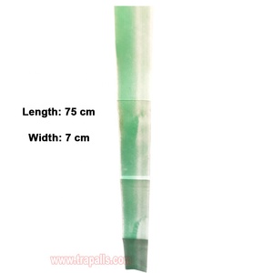 2 cái rắn thân thiện với môi vườn cây bảo vệ Sâu Bướm keo Vòng bẫy cho côn trùng kiểm soát - Product Image 2