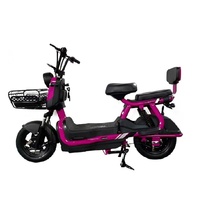 Vélo électrique OEM, Bicicleta Electrica, vélo électrique de haute qualité, vélo électrique populaire, Vélo Electrique, vélo électrique 48v
