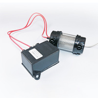 Foshan Wangeli Bestseller Hochwertige 1G 5G 10G Ozongenerator-Röhre