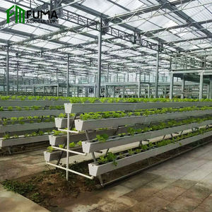 Sistema Hidropónico de Cultivo Vertical para Plantas de Interior con Tecnología de Ahorro de Agua FM Healthy NFT, Grado Alimenticio, Gran Venta - Product Image 3