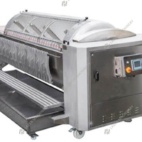 Solution clé en main pour machine à jus de raisin/vin Machine à égrappage de raisin Usine de production