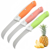 Klein Roestvrijstalen Fruitmes Met Pp Plastic Handvat Voor Fruit En Groente Snijden En Snijden