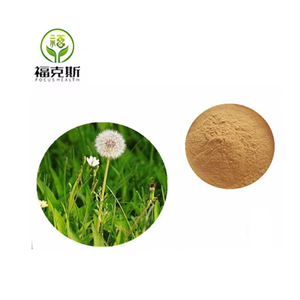 Giá tốt nhất bồ công anh flavonoid 5% 10% Hữu Cơ bổ sung bồ công anh chiết xuất từ rễ - Product Image 2